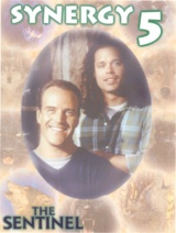 Synergy #5