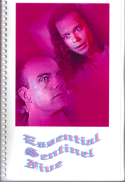 Essential Sentinel #5 (Digest)