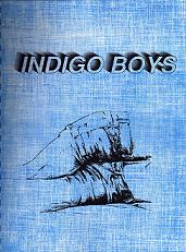 Indigo Boys #1